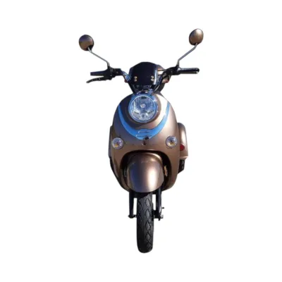 Triciclu electric Thor Spyder maro 800W 60V20Ah - imagine 4