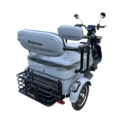 Triciclu electric BRECKNER TRAVEL gri 1000W 60V 20AH - imagine 5