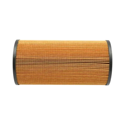 Filtru ulei motor DAF 56x113x220mm cod OEM HU12103X - imagine 2