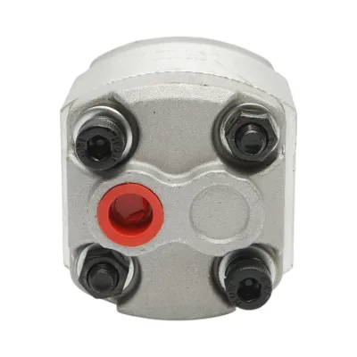 Pompa hidraulica interioara instalatie pompa basculare BK99251, BK99250 - imagine 5
