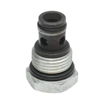Supapa verificare instalatie pompa basculare BK99251, BK99250 - imagine 4
