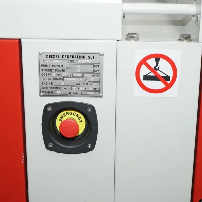 Generator electric trifazat 28KVA, 230/400V cu motor diesel Ricardo N4100DS-30KW si ATS 100A - imagine 4