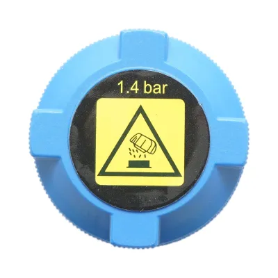 Buson vas expansiune Alfa Romeo, Fiat 30mm cod OEM 46742378 - imagine 2