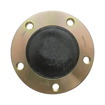 Butuc disc grapa cu talere Horsch, Joker cod OEM 28071300, 28085600, 28077800, 28077900 - imagine 7