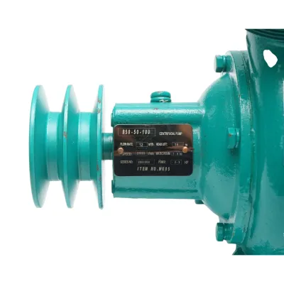 Pompa apa centrifuga cu fulie dubla 1.1kW, 2 toli, debit 12 m3/h, adancime aspiratie 9m, inaltime pompare 15m pentru irigatii - imagine 9