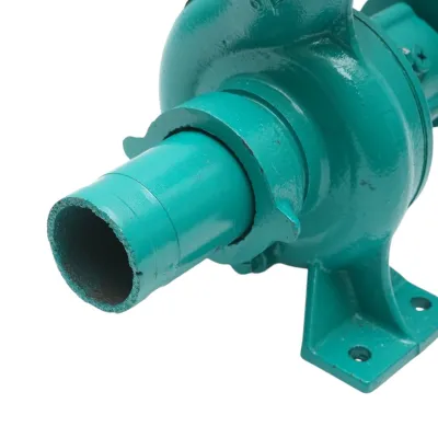 Pompa apa centrifuga cu fulie dubla 1.1kW, 2 toli, debit 12 m3/h, adancime aspiratie 9m, inaltime pompare 15m pentru irigatii - imagine 10