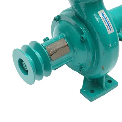 Pompa apa centrifuga cu fulie dubla 1.5kW, 2.5 toli, debit 20 m3/h, adancime aspiratie 9m, inaltime pompare 15m pentru irigatii - imagine 7