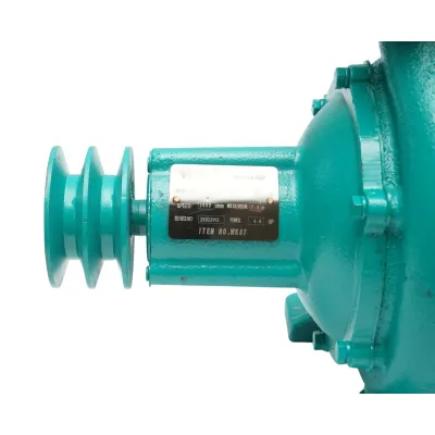 Pompa apa centrifuga cu rotor dublu 4kW, 2 toli, debit 25 m3/h, adancime aspiratie 9m, inaltime pompare 40m pentru irigatii - imagine 8