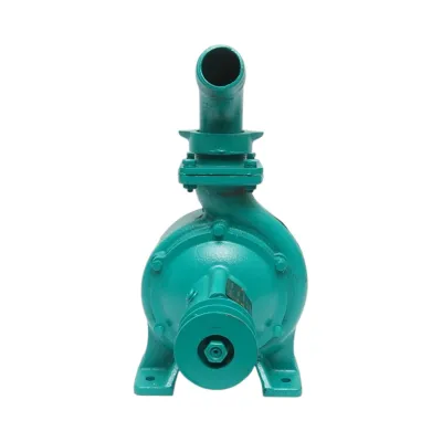 Pompa apa centrifuga cu rotor dublu 4kW, 2 toli, debit 25 m3/h, adancime aspiratie 9m, inaltime pompare 40m pentru irigatii - imagine 4