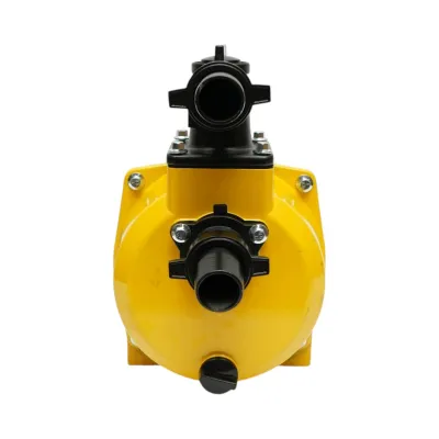 Pompa apa centrifuga autoamorsanta cu fulie dubla 3kW, 1.5 toli, debit 20 m3/h, adancime aspiratie 7m, inaltime pompare 24m pentru irigatii - imagine 4