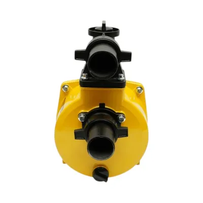 Pompa apa centrifuga autoamorsanta cu fulie dubla 3kW, 2 toli, debit 33 m3/h, adancime aspiratie 7m, inaltime pompare 33m pentru irigatii - imagine 4