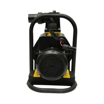 Pompa apa solara autoamorsanta automata booster 900W, 48-105V, 2 toli, debit 20 m3/h, adancime aspiratie 8m, inaltime pompare 30m pentru irigatii - imagine 4