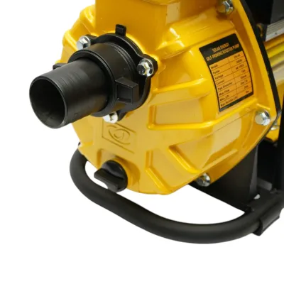 Pompa apa solara autoamorsanta automata booster 900W, 48-105V, 2 toli, debit 20 m3/h, adancime aspiratie 8m, inaltime pompare 30m pentru irigatii - imagine 9