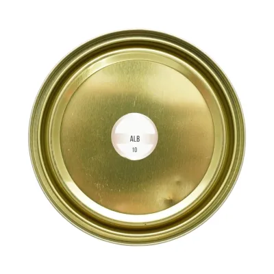 Vopsea email anticoroziva 3 in 1 alb 10 pentru metal 750g, direct pe rugina, pe baza de apa Breckner Germany - imagine 5
