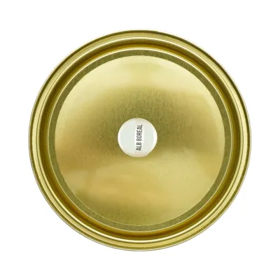 Vopsea email anticoroziva 3 in 1 alb boreal pentru metal 2kg, direct pe rugina, pe baza de apa Breckner Germany - imagine 5