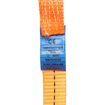 Chinga ancorare marfa 2.5mx25mm 500kg Breckner Germany - imagine 5