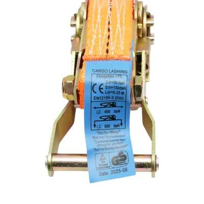 Chinga ancorare marfa 4.5mx25mm 750kg Breckner Germany - imagine 5
