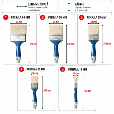 Set 5 pensule vopsit plate 12mm, 25mm, 38mm, 50mm, 63mm, fir PET, maner PP Breckner Germany - imagine 4