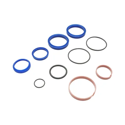 Kit garnituri reparatie cilindri hidraulici RA04, RA05, RA06, RA07, RA08, RA44, RA45, RA46, RA47 - imagine 3