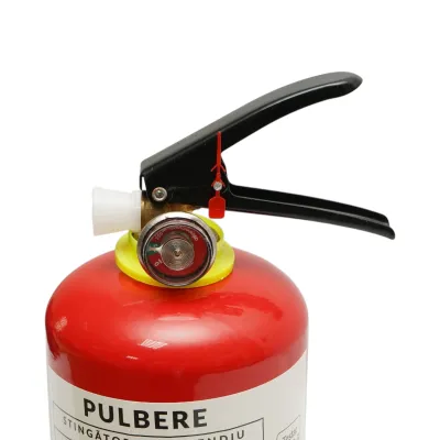 Stingator auto cu pulbere ABC 2kg P2 - imagine 5
