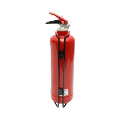 Stingator auto cu suport si pulbere ABC 1kg P1 - imagine 3