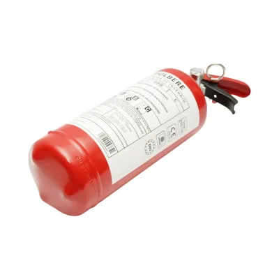 Stingator auto cu suport si pulbere ABC 2kg P2 - imagine 5
