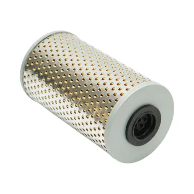 Filtru combustibil Zetor 72x126mm cod OEM 64252003, 93-1209, 938306, 931209, 93-8306, XN87, PM800, SK3972/1, SN20823, VPD6189, 111-55 - imagine 4
