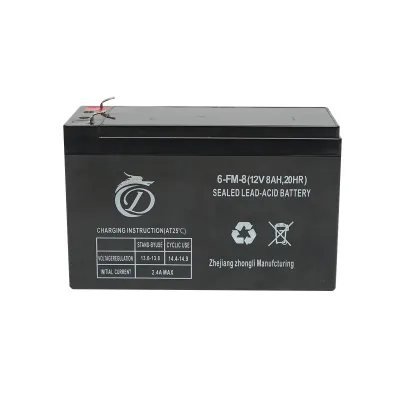 Baterie (acumulator) pentru pompa de stropit vermorel 12L Breckner Germany