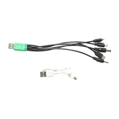 Kit iluminat portabil LED cu 4 becuri/proiector, panou solar radio FM si baterie 10000 mAhH pentru pescuit camping GD-8076 - imagine 9