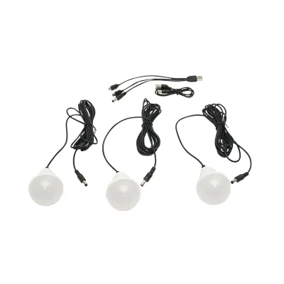 Kit iluminat portabil LED cu 3 becuri/proiector, radio FM, MP3, panou solar si baterie 3.7V, 4500 mAh pentru pescuit camping GD-P30FM - imagine 5