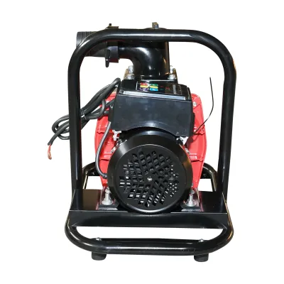 Pompa apa refulare, de suprafata 72V, 750W, 20m3/h, 2 toli pentru panouri solare cu telecomanda - imagine 5