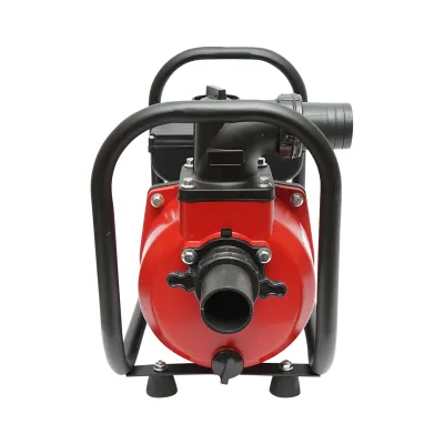 Pompa apa refulare de suprafata 220V, 2.2KW, 23m3/h, 2 toli inaltime maxima 17m - imagine 4
