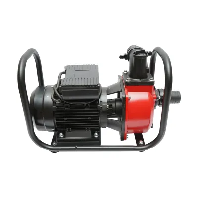 Pompa apa refulare de suprafata 220V, 2.2KW, 23m3/h, 2 toli inaltime maxima 17m - imagine 3
