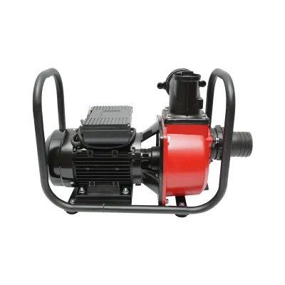 Pompa apa refulare de suprafata 220V, 2.5KW, 40m3/h, 3 toli inaltime maxima 17m - imagine 3