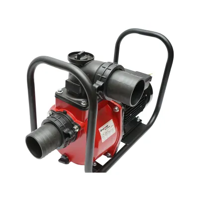 Pompa apa refulare de suprafata 220V, 2.5KW, 40m3/h, 3 toli inaltime maxima 17m - imagine 5