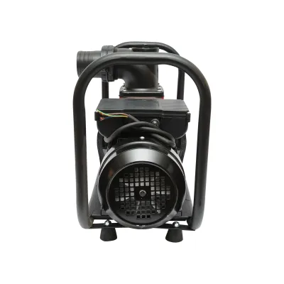 Pompa apa refulare de suprafata 220V, 2.5KW, 40m3/h, 3 toli inaltime maxima 17m - imagine 2