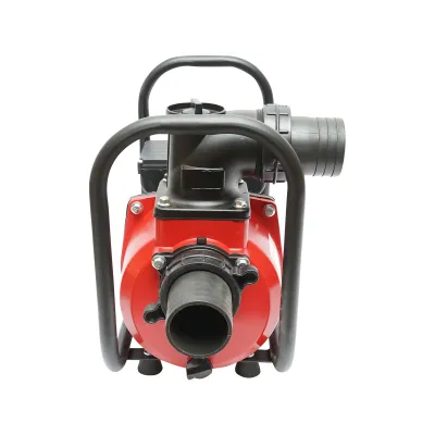 Pompa apa refulare de suprafata 220V, 2.5KW, 40m3/h, 3 toli inaltime maxima 17m - imagine 4