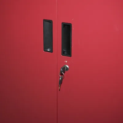 Dulap metalic rosu cu o polita si 2 usi securizate 750x750x350mm - imagine 4