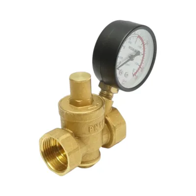 Regulator de reducerea a presiunii apei 1-1 tol, reglabil cu sita filtrare si manometru DN25 pentru instalatii solare rezidentiale - imagine 3