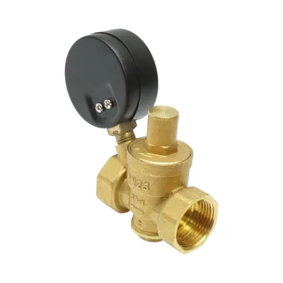 Regulator de reducerea a presiunii apei 1-1 tol, reglabil cu sita filtrare si manometru DN25 pentru instalatii solare rezidentiale - imagine 4