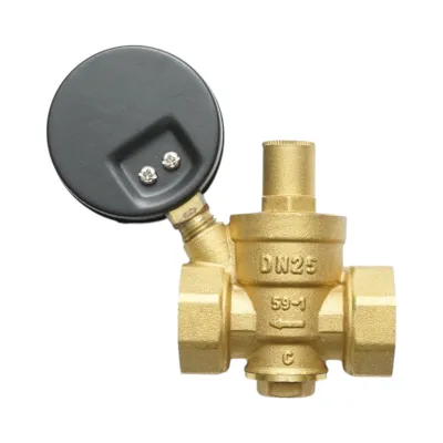 Regulator de reducerea a presiunii apei 1-1 tol, reglabil cu sita filtrare si manometru DN25 pentru instalatii solare rezidentiale - imagine 2