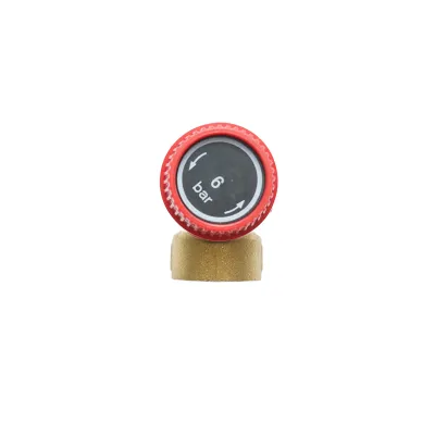 Supapa siguranta filet interior 1/2 pentru apa panouri solare maxim 6 BAR - imagine 2