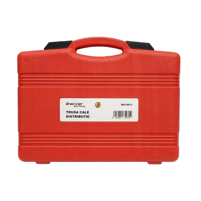 Trusa cale blocare distributie BMW N43 Breckner Germany - imagine 2