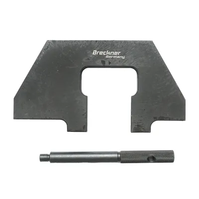 Set blocaje distributie BMW M43, M70, M73 2 piese Breckner Germany