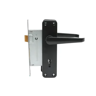 Broasca usa cu silduri negre 57x100x60mm - imagine 4