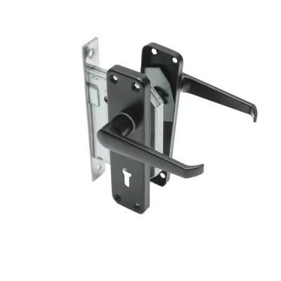 Broasca usa cu silduri negre 57x100x60mm - imagine 3