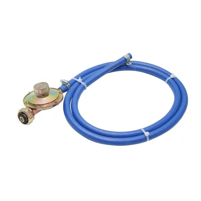 Kit furtun GPL 1.5m si ceas butelie - imagine 2