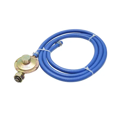 Kit furtun GPL 2m si ceas butelie - imagine 3
