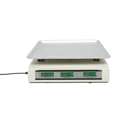 Cantar electronic cu ecran LCD, capacitate 40 Kg cu baterie 4V Breckner Germany - imagine 3