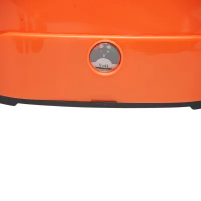 Pompa de stropit, vermorel 2 in 1 manuala si electrica cu rezervor 16L, baterie 12V/8Ah, 4 duze, debit 3.1 l/min THOR - imagine 7
